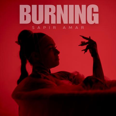 Burning - Sapir Amar (JAVS Remix)